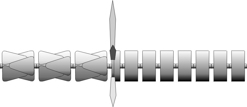 Asterie Vessel