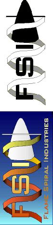 FSI Logo